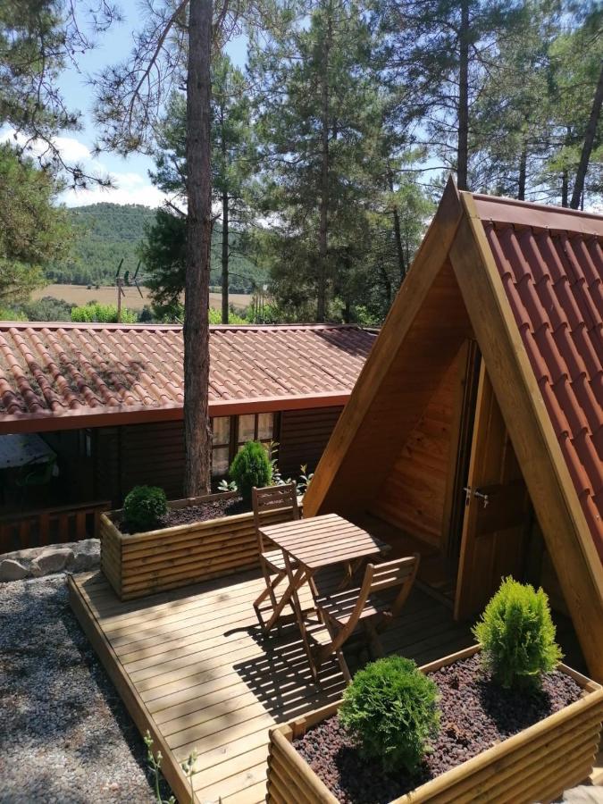 Camping La Ribera Salada Ogern Экстерьер фото